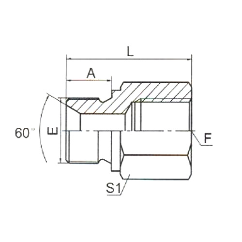 5B-HS